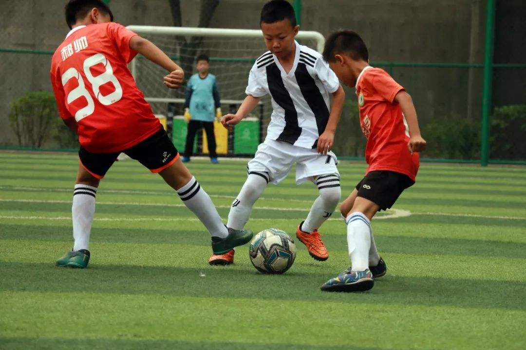 创新药ETF富国（159748）涨0.84%，成交额1693.96万元