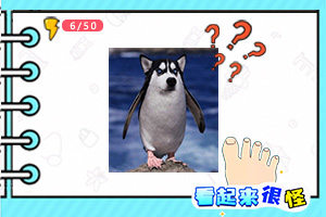 刚刚，利好来了！直线暴涨！