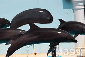 188亚洲体育娱乐下载app/手机app下载豪华版