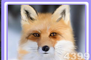 中国进出口银行董事长陈怀宇在匈牙利开展工作调研