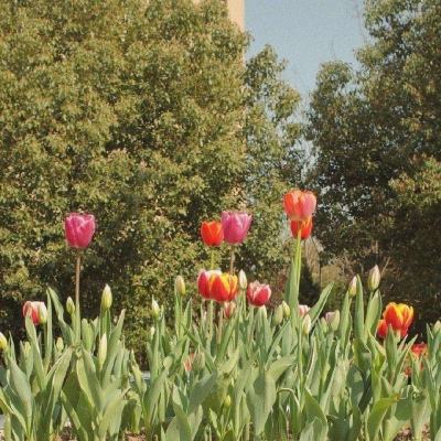 破局精密制造“多重瓶颈” 爱普...