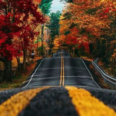 英亚电竞官网亮点