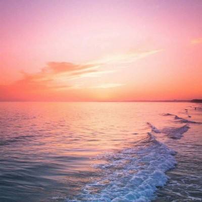 永利体育app官方网站/手机APP下载亮点