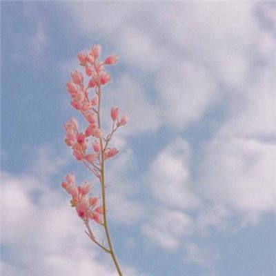 进出口银行召开政策性金融工具年度工作会