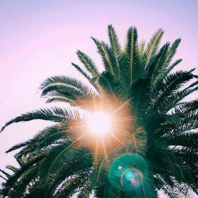 多宝娱乐体育app综合体育APP下载