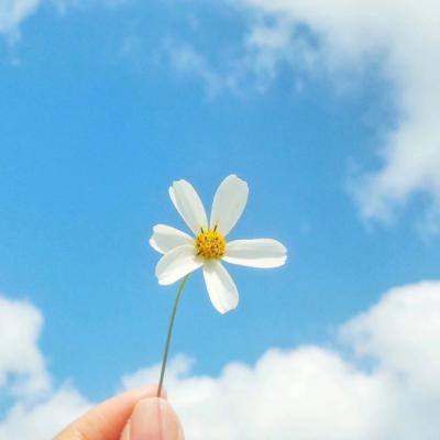 赴一场科技之约!第三届“天翼云...