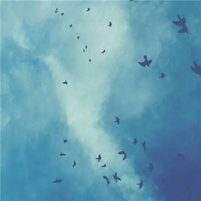 点球平台（官方）综合娱乐APP下载