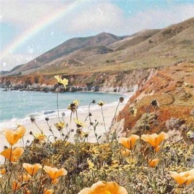 交通银行上海分行普惠金融事业部原副总曹沛被查，一个月内两名干部落马