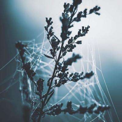 房地产项目计提减值后 去年豫园股份亏损49亿元