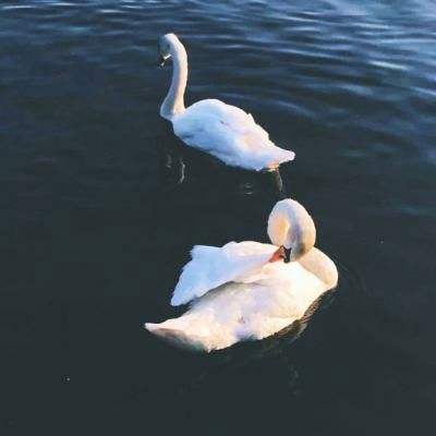 华夏基金一季度新发基金“哑火”：仅5只新基，31亿规模，发行规模排名滑落至27位总书记再次强调雄安的“初心”