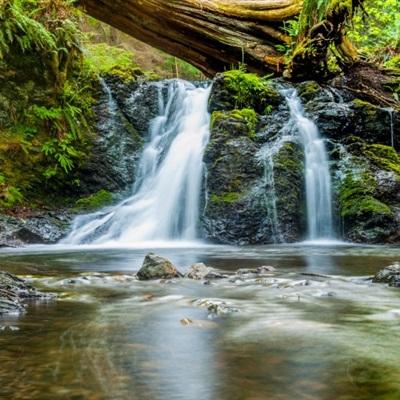 NBA正式扩军 32队时代来了