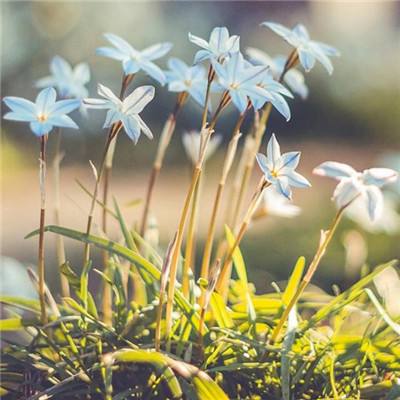 星空体育体育官方网站