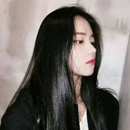 美狮会登录入口