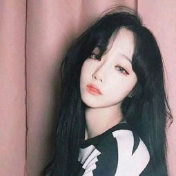 陶氏公司亮相2026慕尼黑上海电子...