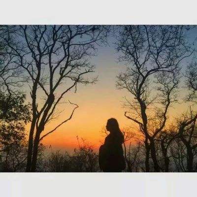 零点自动化荣获维科杯两项行业殊...