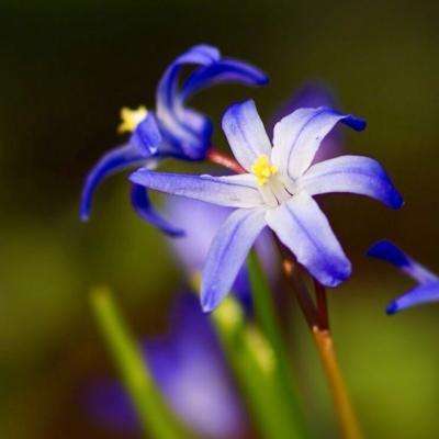 众彩贵宾会（官方）最新APP下载