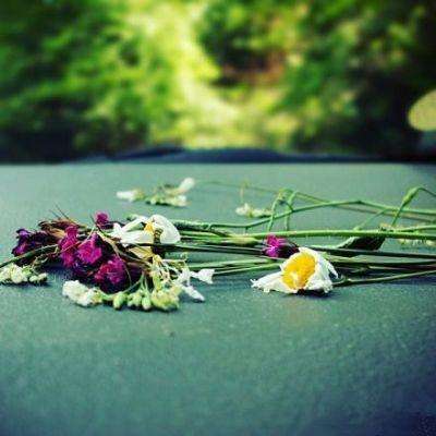 博雅体育全站APP下载