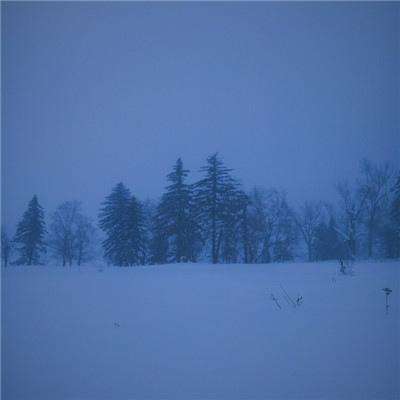 2026 CAIMRS圆满收官，擎旗“十...