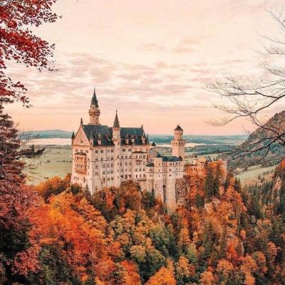 特朗普称伊朗已“完全被打败”