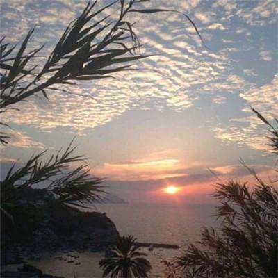 沪深300ETF东财（159330）跌1.00%，成交额1810.14万元