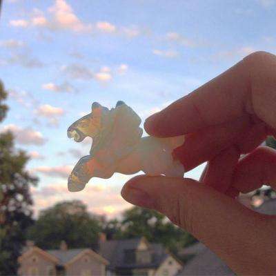 傅盛深夜致歉：喝酒一时冲动，向周鸿祎和所有被打扰到的朋友致歉