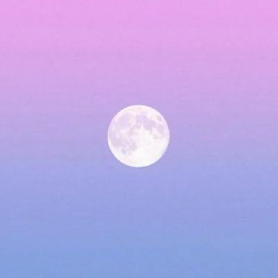 张雪峰追悼会本周六举行!“遵照张雪峰老师生前遗愿和家属意见,丧事从简”