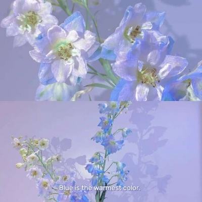 手机阅读《金狮娱乐》