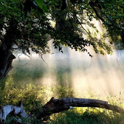 摘得双料“新质”大奖!格创东智...