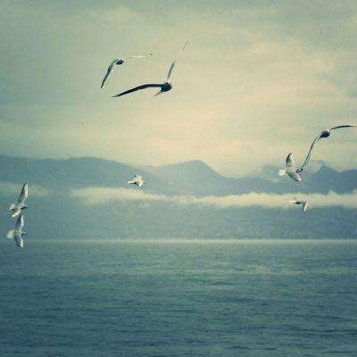 泰国将“武安侯”植入征兵海报