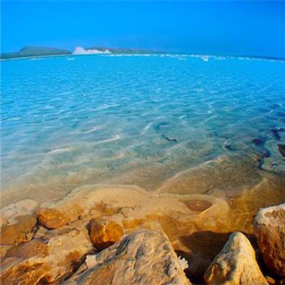 徽商期货斩获上期所首届套期保值方案模拟实践活动两项荣誉