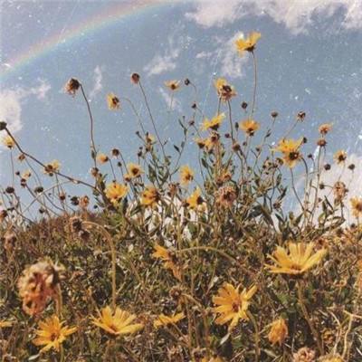 港股收评：连续两日反弹！恒指涨1.09%，科网股大涨