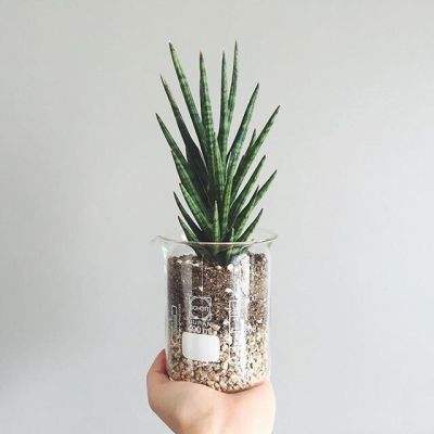 默虹｜美海军测试新制服，配发“一脚蹬”老头皮鞋