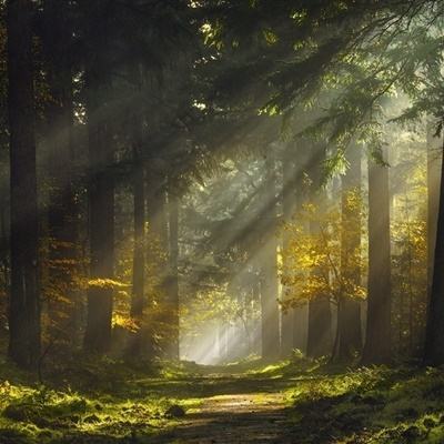 慕尼黑上海电子生产设备展，魏德...