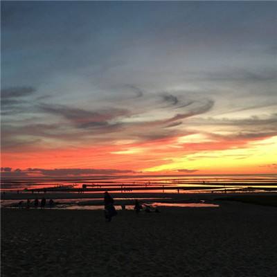 皮尔磁信息安全咨询现采用标准C...