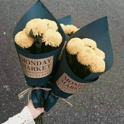 行业唯一!海尔洗衣机获泰国“2026年度产品创新大奖”