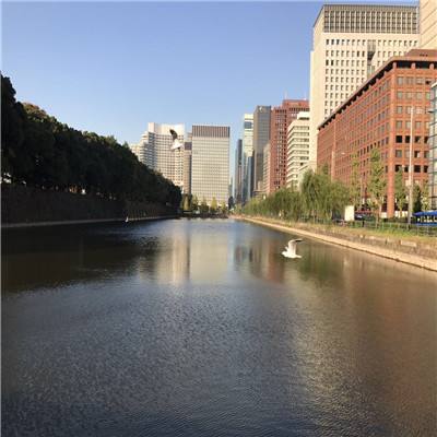 中国人民银行行长潘功胜分别会见国际金融机构负责人