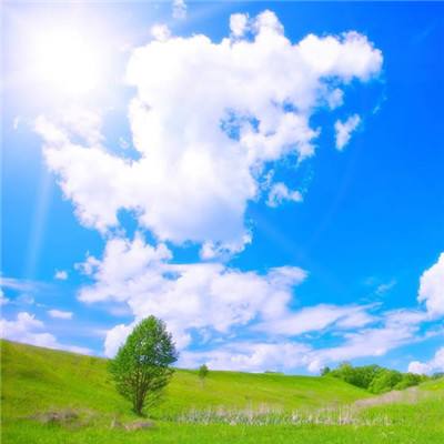 周岁婴儿凌晨高烧昏厥