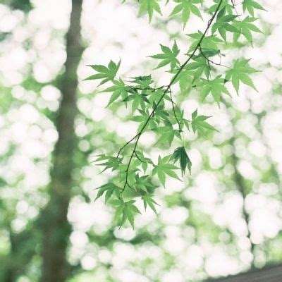 房地产项目计提减值后 去年豫园股份亏损49亿元