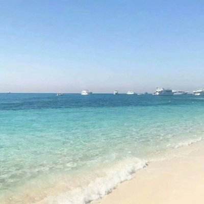 乐鱼体育下载苹果