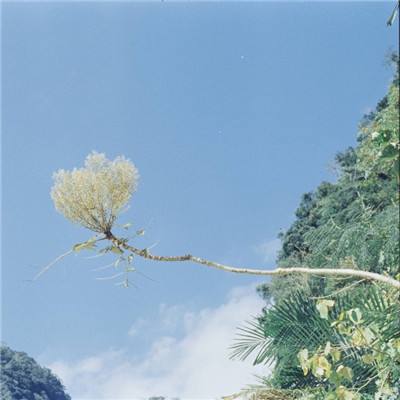 高原边防部队还在用81杠 中国步枪真的有问题吗？