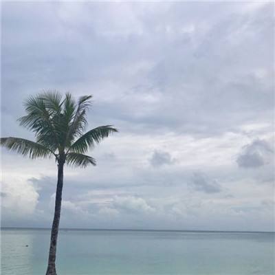 柯文哲一审被判17年