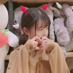 贵宾会娱乐APP/手机APP下载