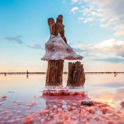 手机阅读《乐鱼体育百度百科》