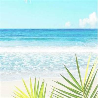 无论美伊谈判真假 华尔街已从特朗普引发的五分钟狂飙获得明确信号