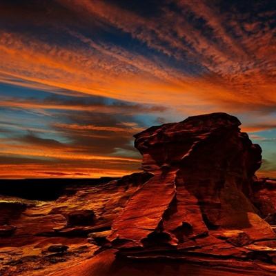 在我军，特种部队为何宁要矮的也不要高个？原来和这个有关！