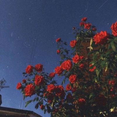 或有望把握低位建仓窗口,金牛基金经理周寒颖执掌新基结募