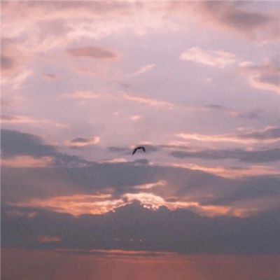 业火的向日葵加速版