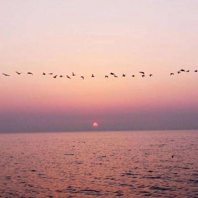 交通银行上海市分行一公职人员接受纪律审查和监察调查