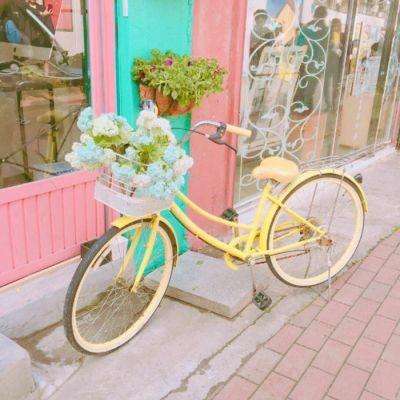 九鼎娱乐官方下载正版手游app截图