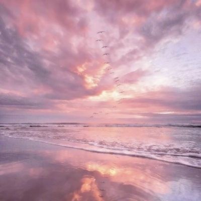 口袋之旅破解版变态版